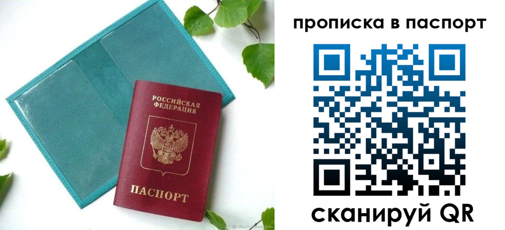 регистрация в Петропавловске-Камчатском